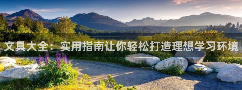 彩名堂app官方网：文具大全：实用指南让