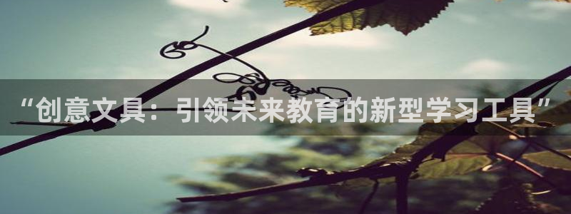 彩名堂计划官方客服：“创意文具：引领未来