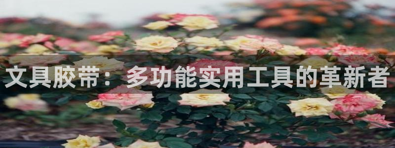 彩名堂计划软件下载：文具胶带：多功能实用