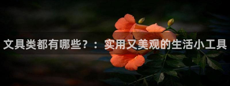 彩名堂客户：文具类都有哪些？：实用又美观