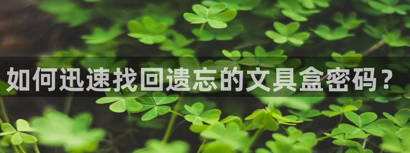 彩名堂最新计划下载地址：如何迅速找回遗忘