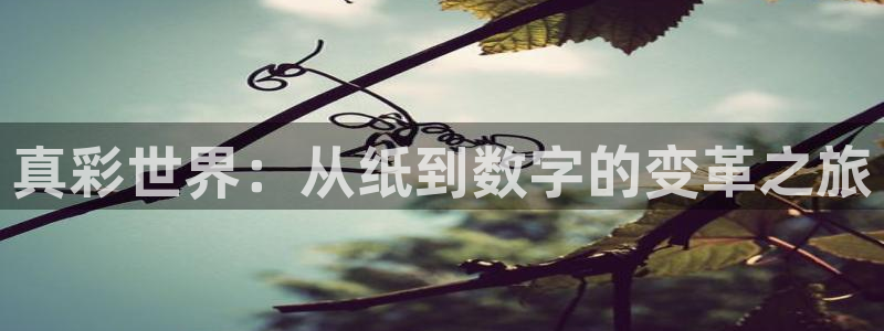 彩名堂免费计划5.0使用方法：真彩世界：