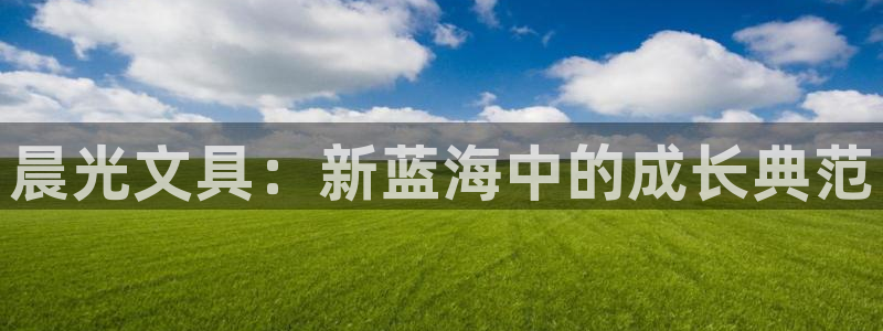 彩名堂合作655560：晨光文具：新蓝海