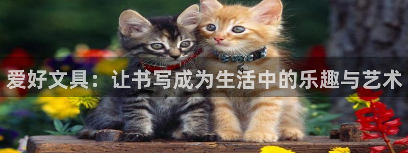 彩名堂免费计划5.0使用方法：爱好文具：