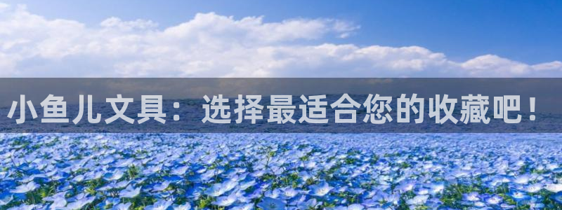 彩名堂免费计划使用方法：小鱼儿文具：选择