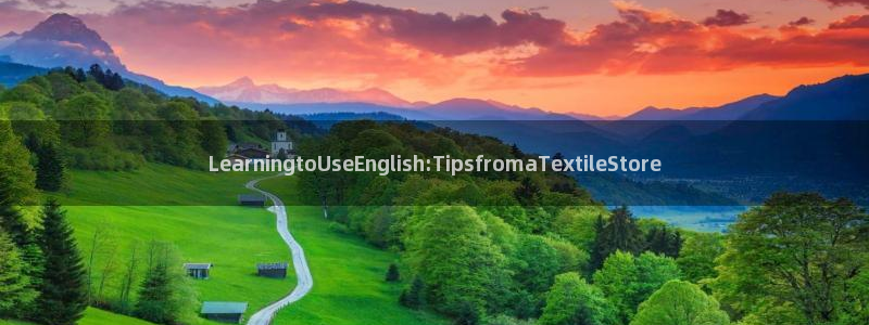 彩名堂app官方下载：Learningt