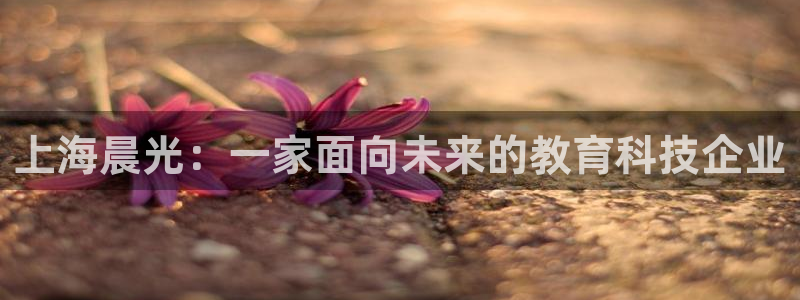 彩名堂免费计划客户端官网：上海晨光：一家