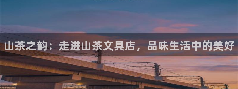 彩名堂官网：山茶之韵：走进山茶文具店，品