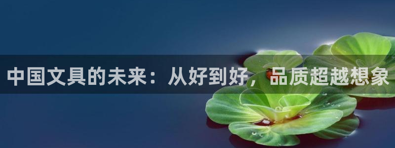 彩名堂App下载：中国文具的未来：从好到