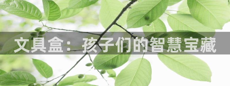 彩名堂5.0计划：文具盒：孩子们的智慧宝