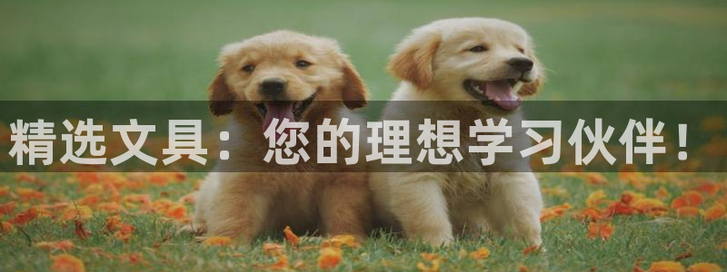 彩名堂跟哪种最好用：精选文具：您的理想学