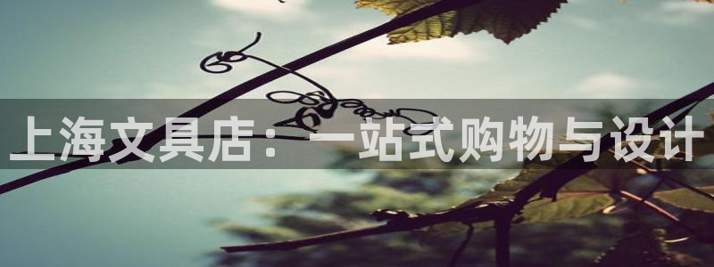 彩名堂计划怎么买胜率高：上海文具店：一站