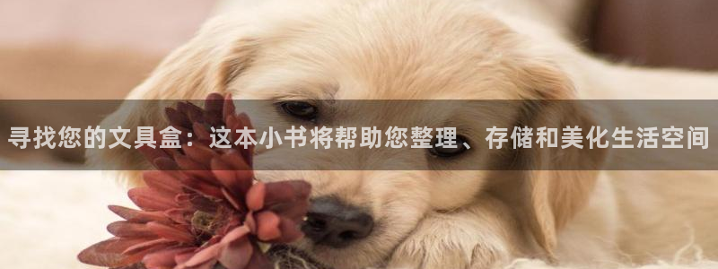 彩名堂苹果版怎么不能用了：寻找您的文具盒