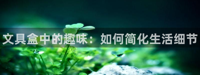 彩名堂客户端是永久免费吗是真的吗：文具盒