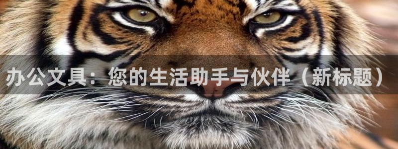 彩名堂预测计划软件：办公文具：您的生活助