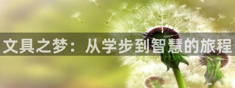 彩名堂免费计划亮点：文具之梦：从学步到智