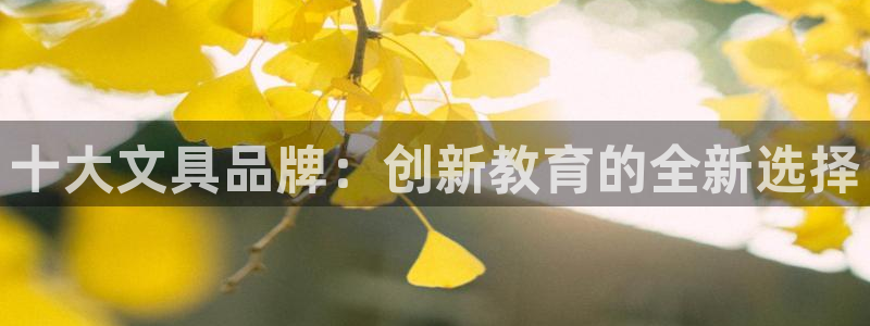 彩名堂用不了：十大文具品牌：创新教育的全