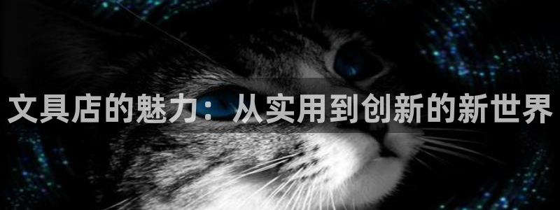 彩名堂用不了：文具店的魅力：从实用到创新