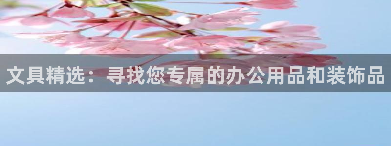 正规彩名堂官网计划01：文具精选：寻找您