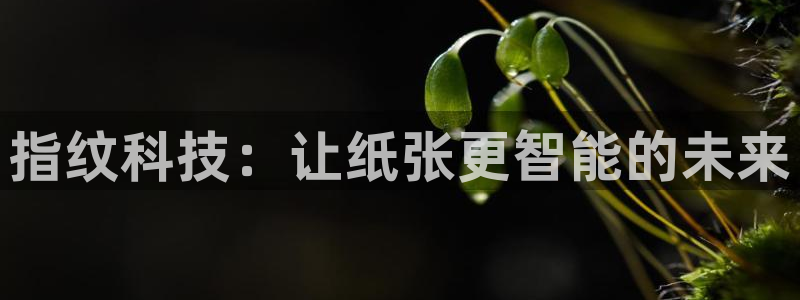 彩名堂改名稻草人了吗知乎：指纹科技：让纸