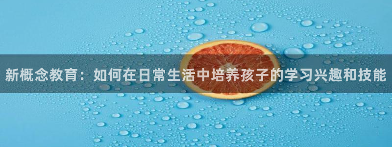 彩名堂免费计划官网5 0：新概念教育：如