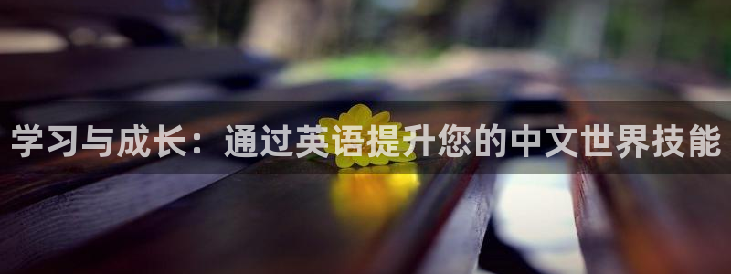 彩名堂5.0版计划怎么用不了：学习与成长