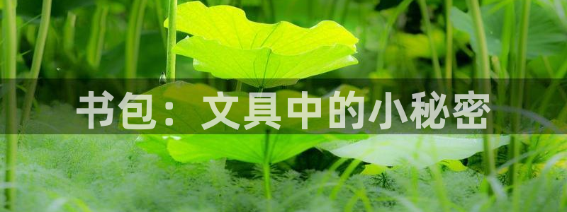 彩名堂改名稻草人了吗是真的吗：书包：文具