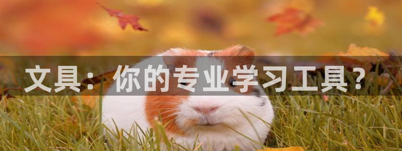 彩名堂客户端是永久免费吗是真的吗吗：文具