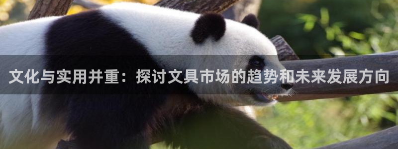 彩名堂计划官方下载网址：文化与实用并重：