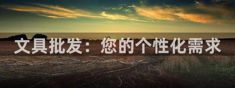 彩名堂.netnet：文具批发：您的个性