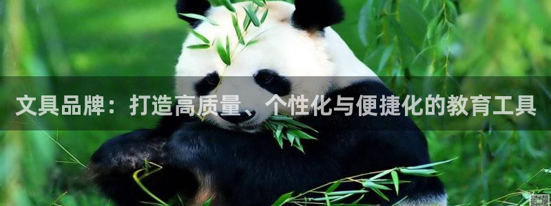 彩名堂一直不出结果怎么回事：文具品牌：打