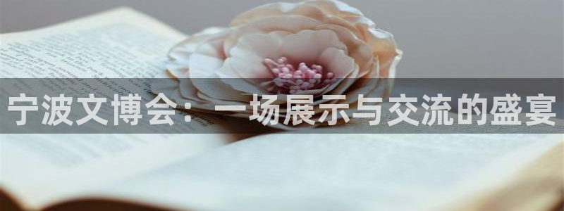 彩名堂苹果客户端：宁波文博会：一场展示与