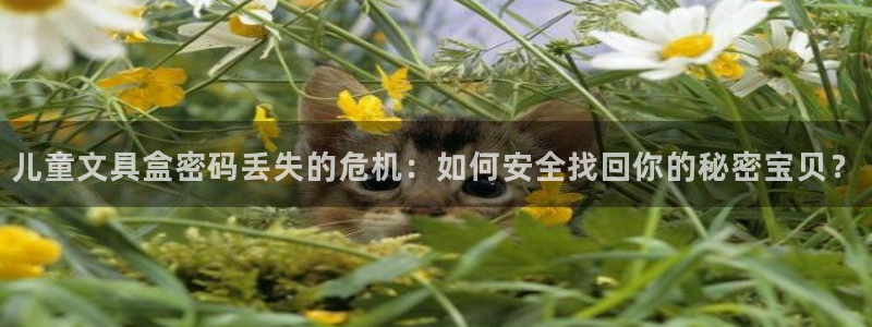 彩名堂计划怎么看：儿童文具盒密码丢失的危