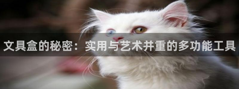 彩名堂跟哪种最好用：文具盒的秘密：实用与