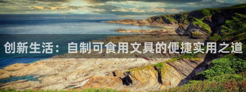 彩名堂5.0计划：创新生活：自制可食用文