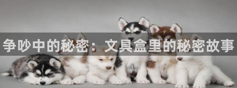 彩名堂下载官网：争吵中的秘密：文具盒里的